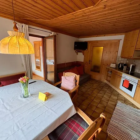 Fink, Haus Martin Ramsau am Dachstein