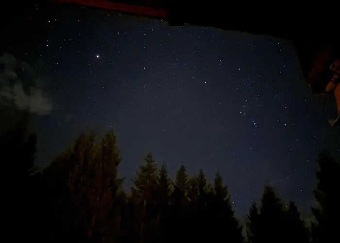 Apartment Fink, Haus Martin